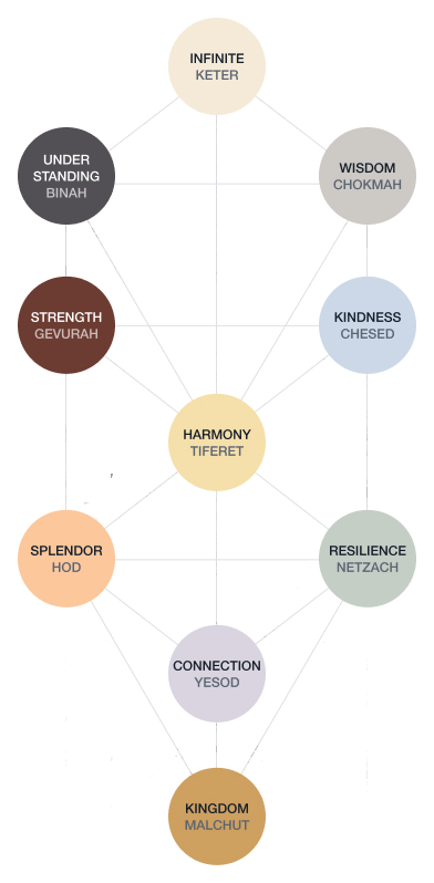 Tree of Life diagram